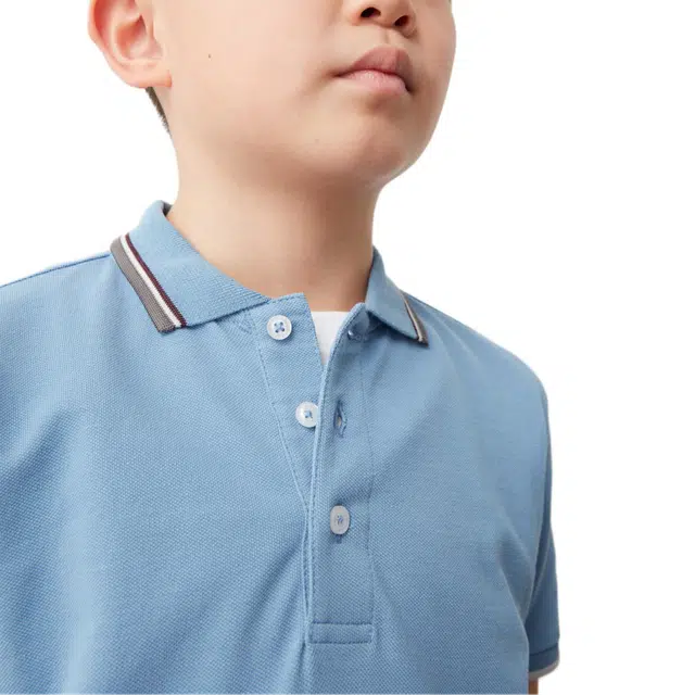 COLMARPolo