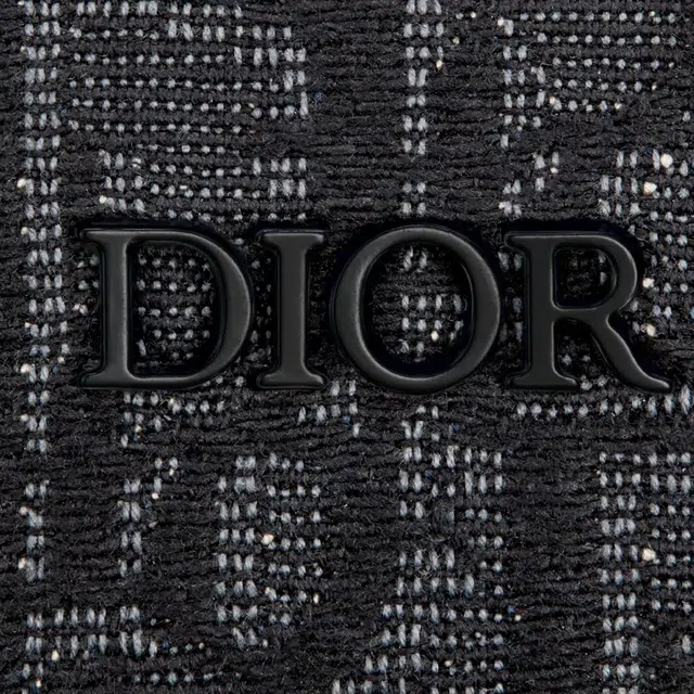 DIOR Rider Oblique
