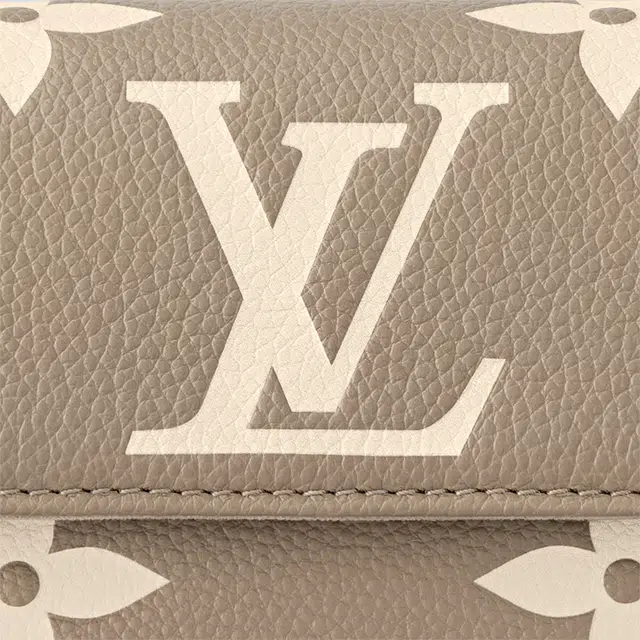 LOUIS VUITTON IVY