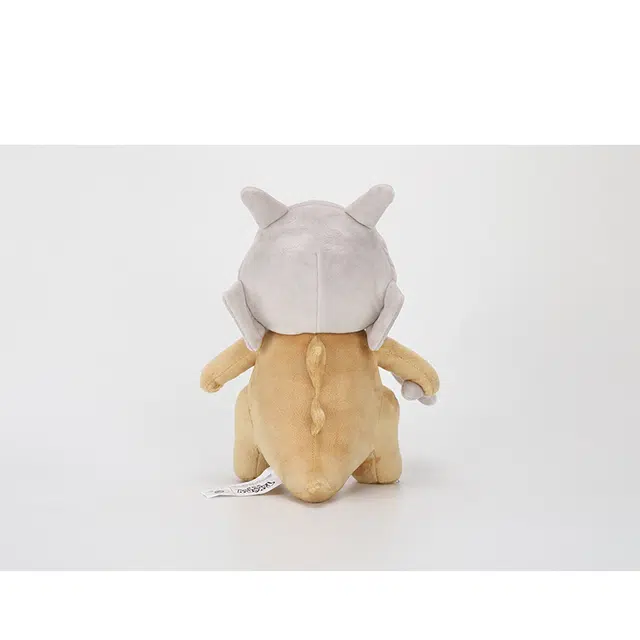 26cm