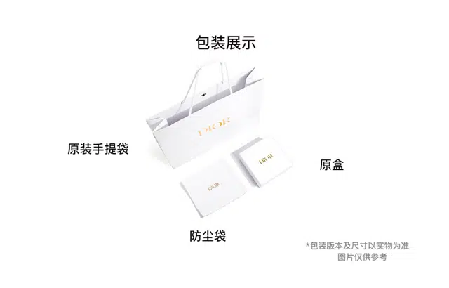 DIOR Saddle Oblique