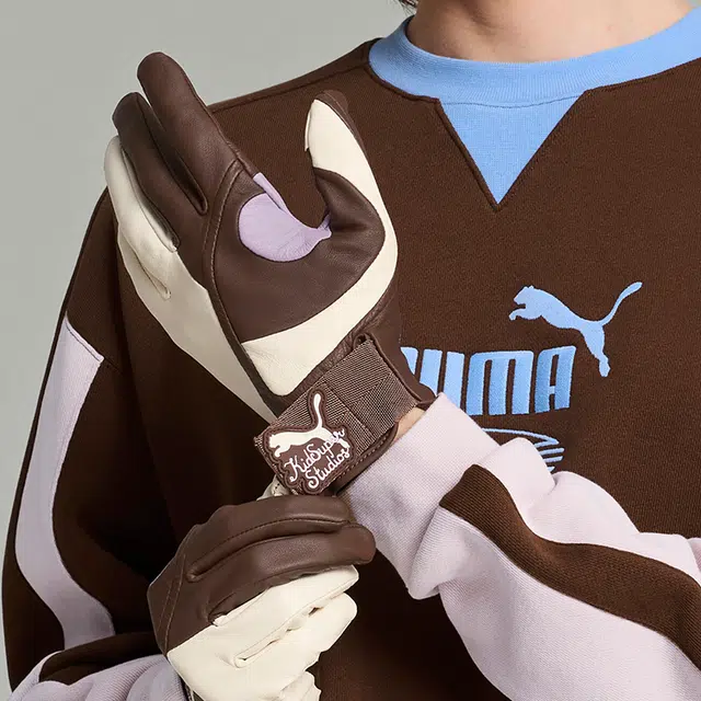 PUMA