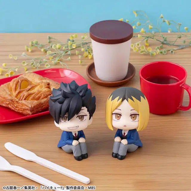 MegaHouse look up Q