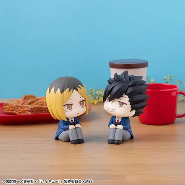 MegaHouse look up Q
