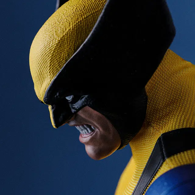 Hot Toys 16 29cm