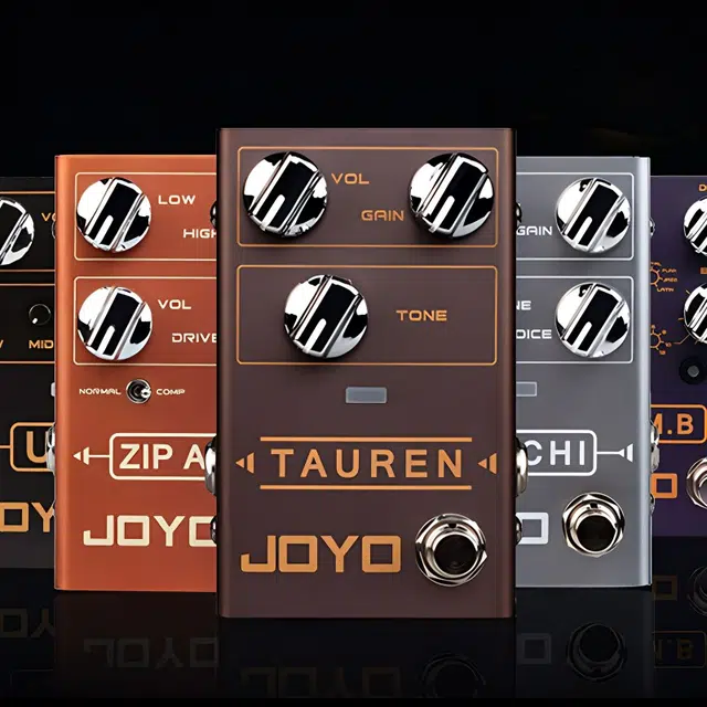 JOYO () R-12 BAND CONTROLLER