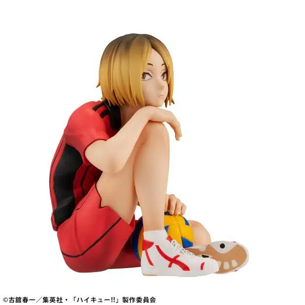 MegaHouse