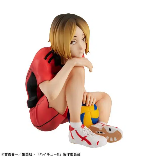 MegaHouse