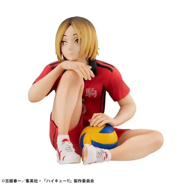 MegaHouse