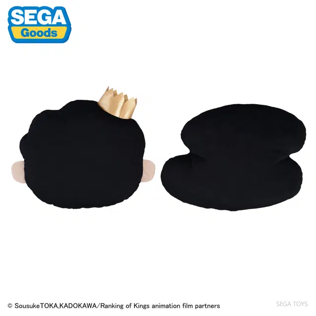 SEGA pm