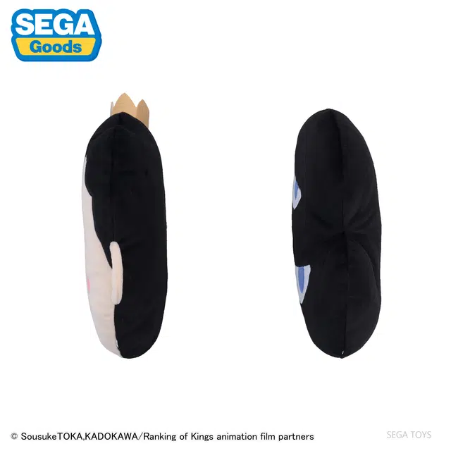 SEGA pm