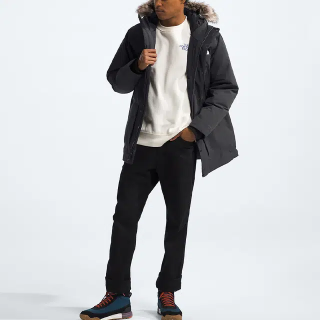 THE NORTH FACE Arctic Logo