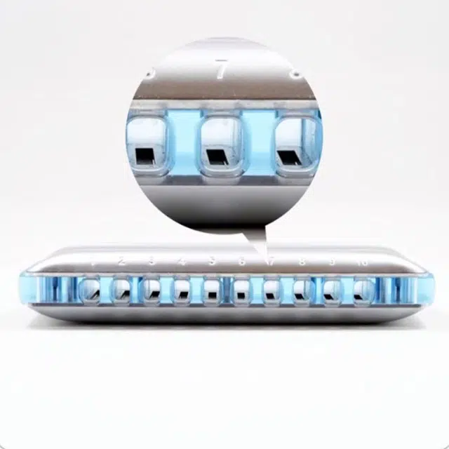 BOOGIEMAN Dophin( 10(Blues)