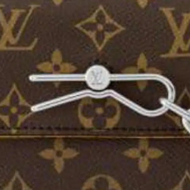 LOUIS VUITTON Steamer