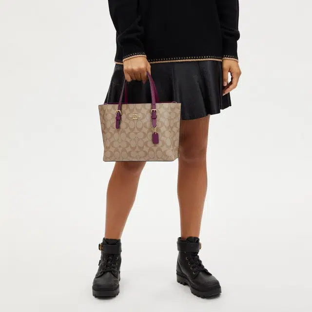 COACH Mollie 25 Tote