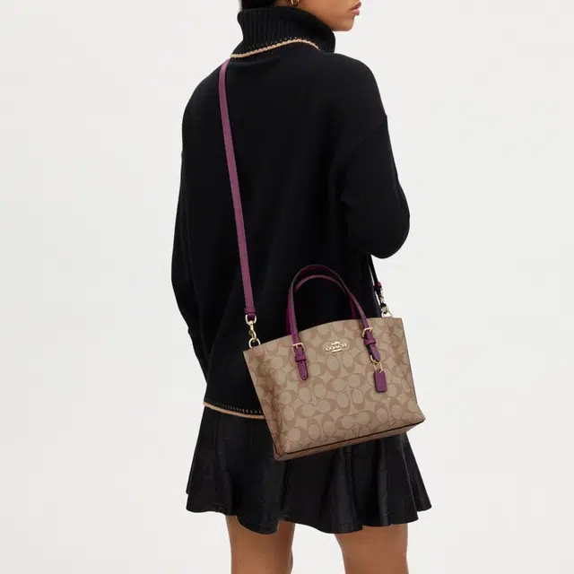 COACH Mollie 25 Tote