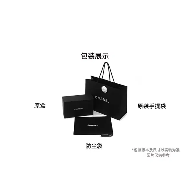 CHANEL 22S Hobo