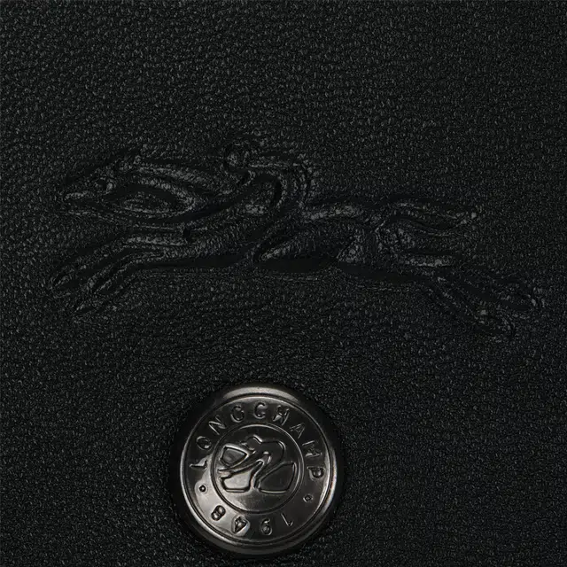LONGCHAMP Le Pliage Cuir 21