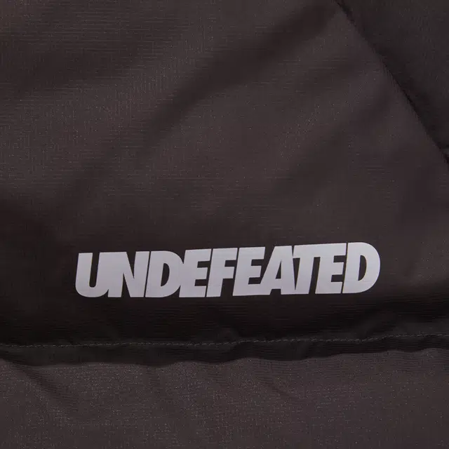 UNDEFEATED FW25 Striped Logo Zipper Down Jacket
