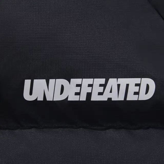 UNDEFEATED FW25 Striped Logo Zipper Down Jacket