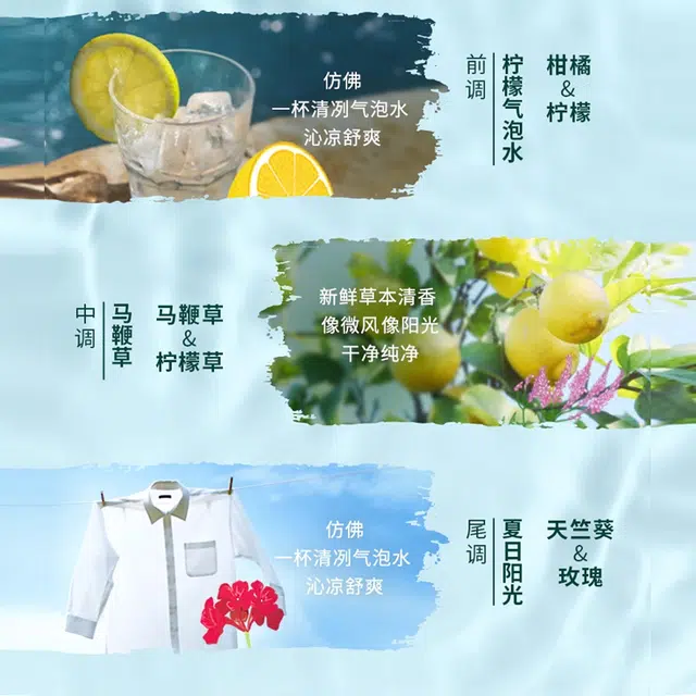 EDT 100ml