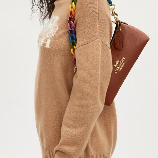 COACH Charlotte 25 Logo