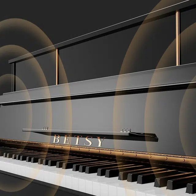BETSY B338 (