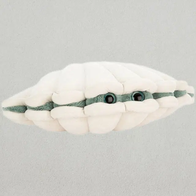 JELLYCAT 13cm
