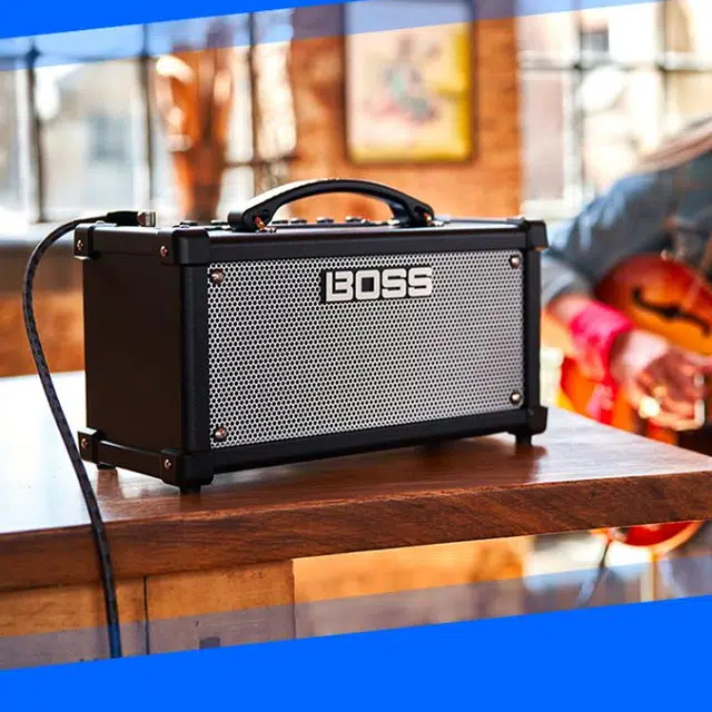 Roland DUAL CUBE LX BOSS