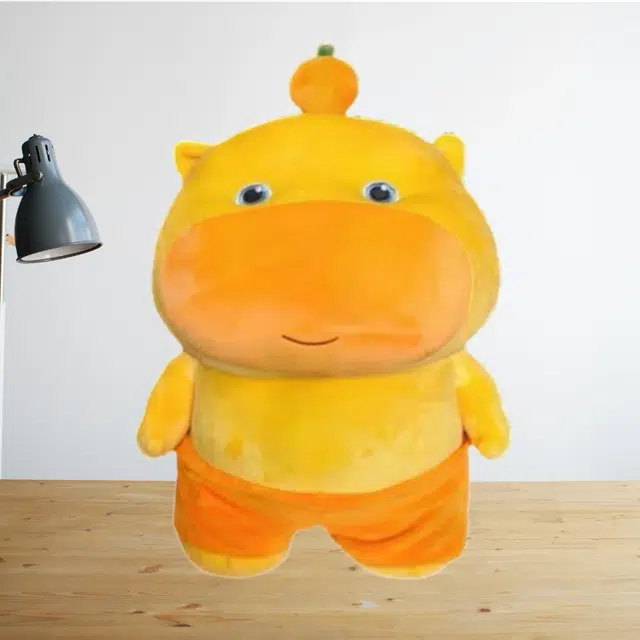 25cm35cm