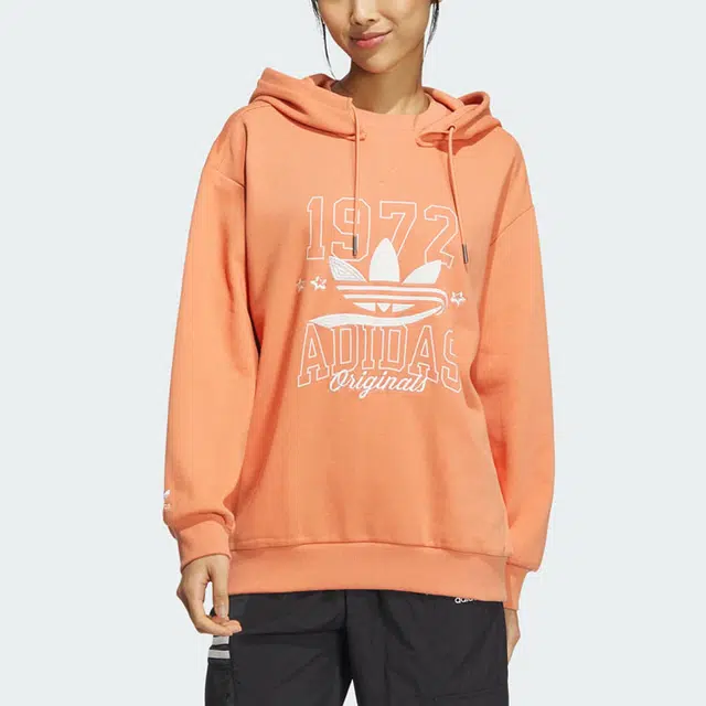 adidas originals Sportswear Hoodie Logo