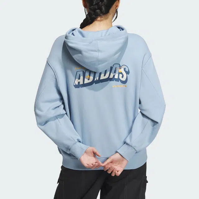 adidas originals Skate Hoodie Logo
