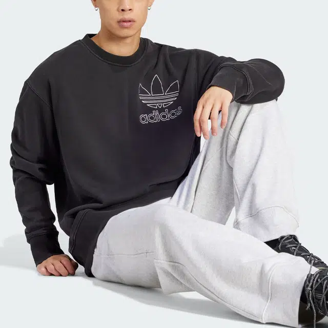 adidas originals Adicolor Outline Sweatshirt Logo