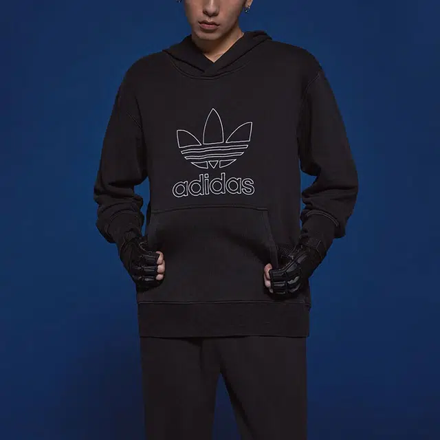 adidas originals Adicolor Outline Hoodie Logo