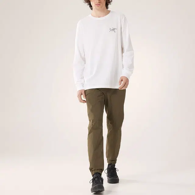 Arcteryx Multi Bird Logo Ls Logo T