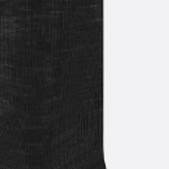 DIOR Logo 1
