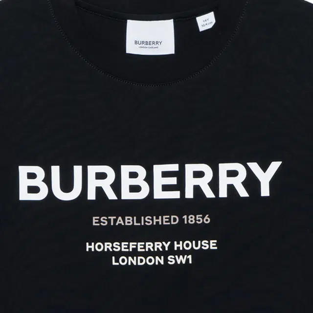 Burberry LogoT