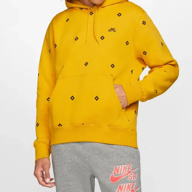 Nike SB Icon