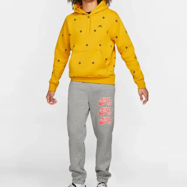 Nike SB Icon