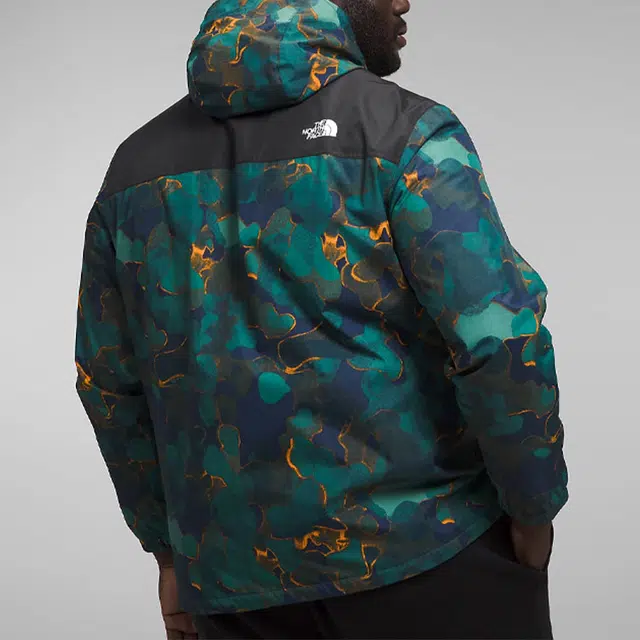 THE NORTH FACE logo