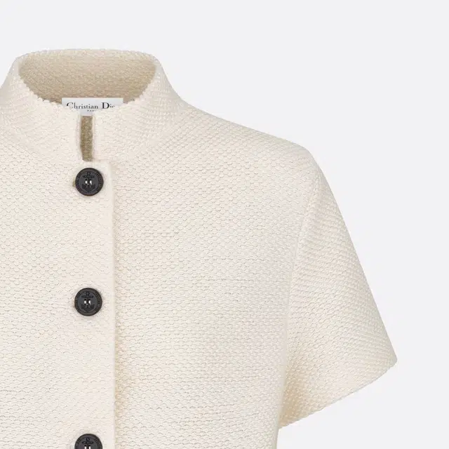 DIOR SS24 Logo