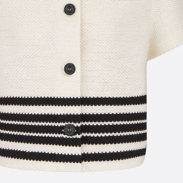 DIOR SS24 Logo