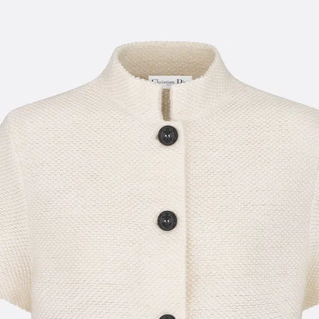 DIOR SS24 Logo