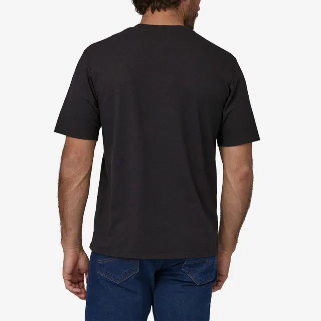 patagonia T