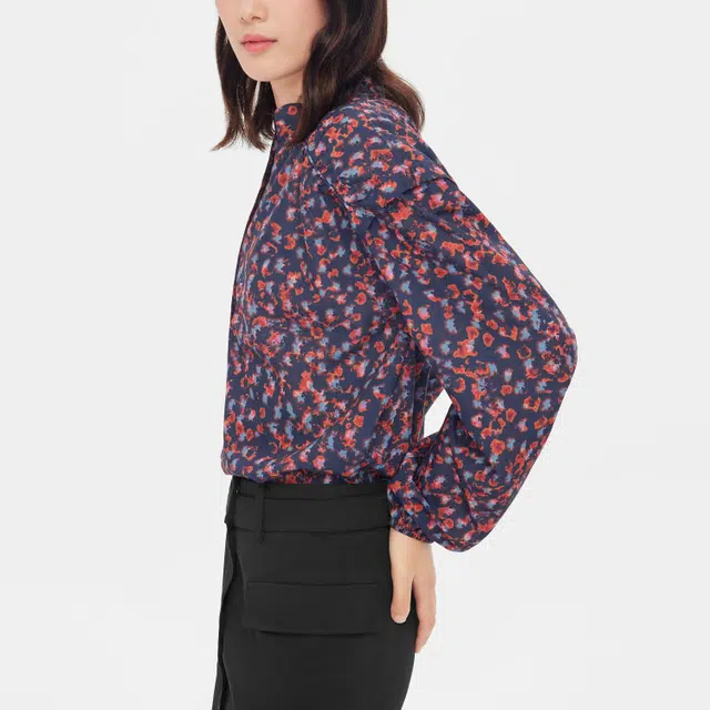 AIGLE V