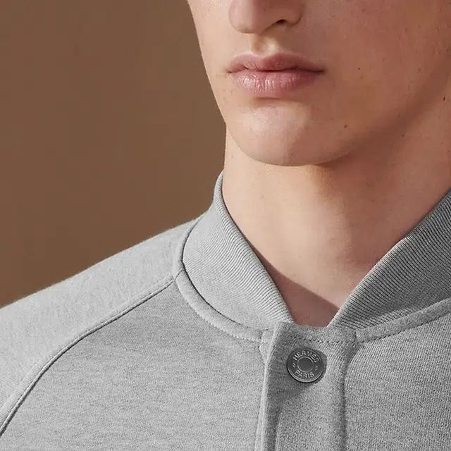 HERMES Logo