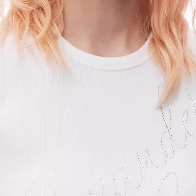 alexander wang FW24 T