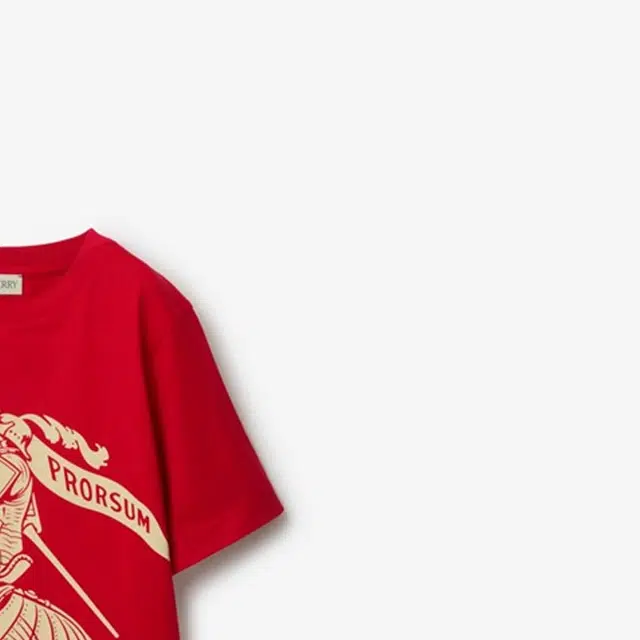 Burberry T