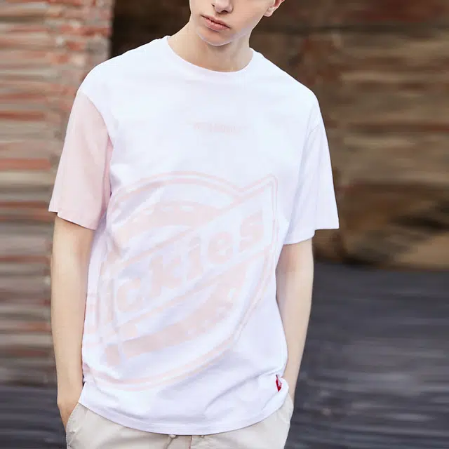 Dickies SS21 LogoT