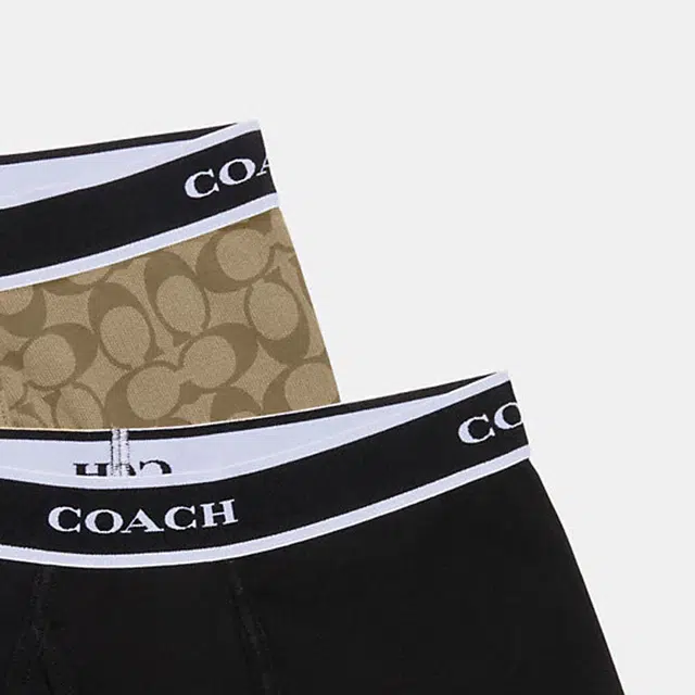 COACH Logo 2